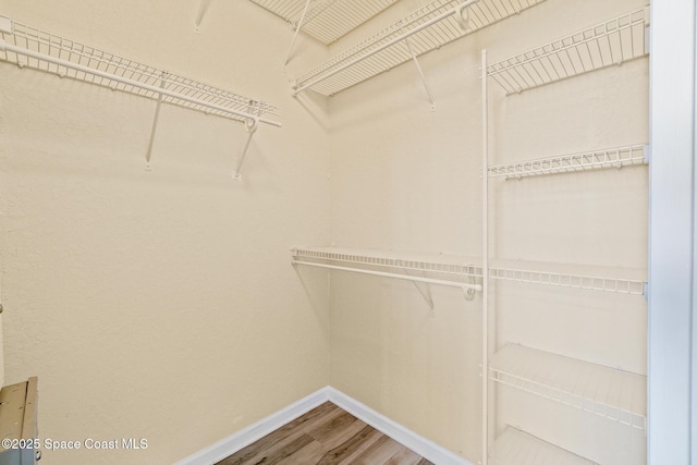 3848 Lexmark Ln Unit 307, Rockledge, FL 32955 - spacious closet with wood finished floors
