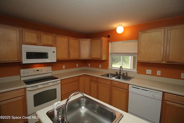 2218 Maeve Cir, Melbourne, FL 32904 - photo 17