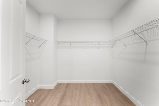 563 Holmes Ave NW, Palm Bay, FL 32907 - spacious closet with light wood-style flooring