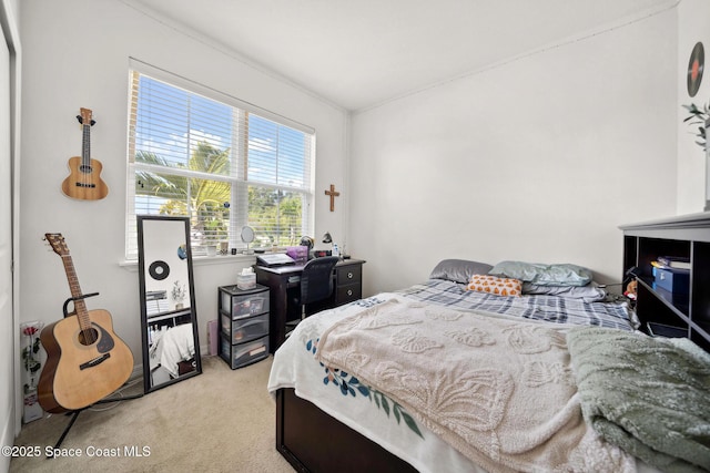 1662 Orsi Pl, West Melbourne, FL 32904 - bedroom featuring light colored carpet