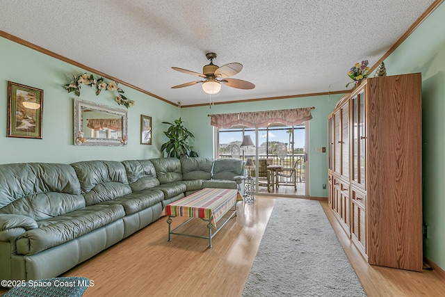 3165 N Atlantic Ave Unit C206, Cocoa Beach, FL 32931 - living area featuring light wood-style floors, ornamental molding, ceiling fan, and a textured ceiling