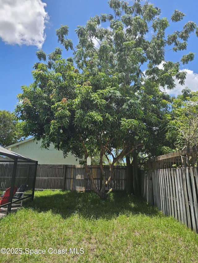 6630 Cecil Rd, Cocoa, FL 32927 - view of fenced backyard