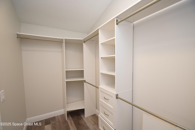 spacious closet with dark wood-type flooring