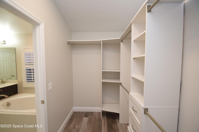 walk in closet with dark wood-type flooring