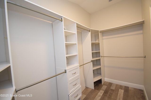 walk in closet featuring wood finished floors