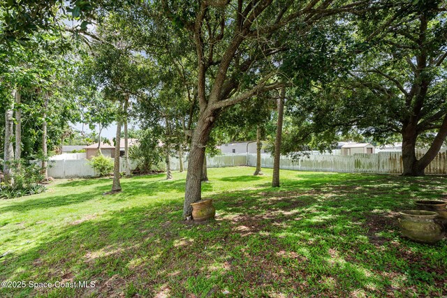 4465 Everglades St, Cocoa, FL 32927 - view of yard