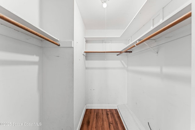 1675 Vega Ave, Merritt Island, FL 32953 - walk in closet featuring wood finished floors
