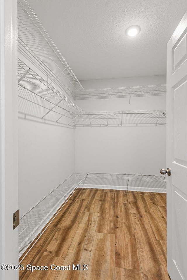 walk in closet with wood finished floors