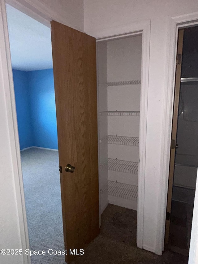 1602 University Ln Unit 1307, Cocoa, FL 32922 - view of closet