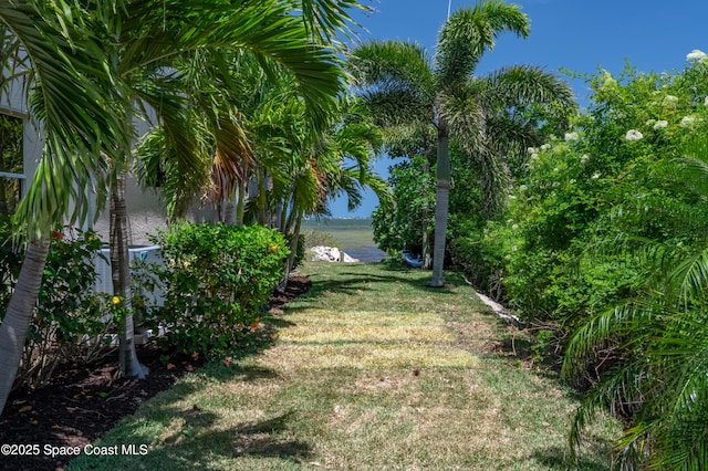 4070 S Tropical Trl, Merritt Island, FL 32952 - view of green lawn