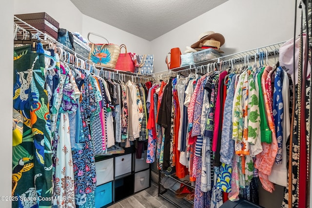 439 Briarcliff Cir, Sebastian, FL 32958 - walk in closet with wood finished floors
