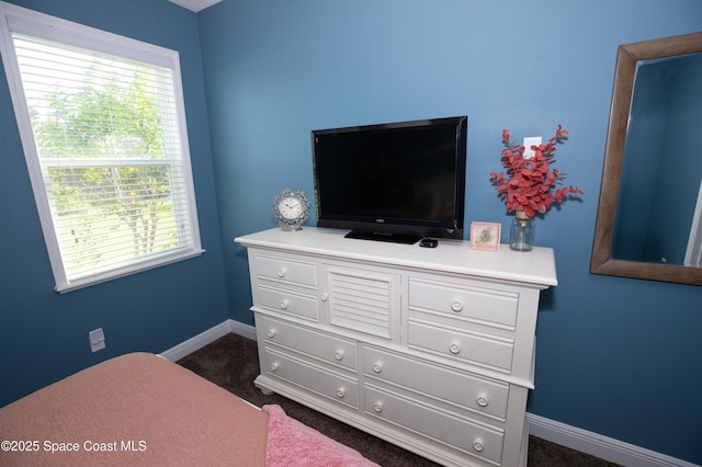 4407 Preservation Cir, Melbourne, FL 32934 - bedroom with multiple windows, baseboards, and dark colored carpet