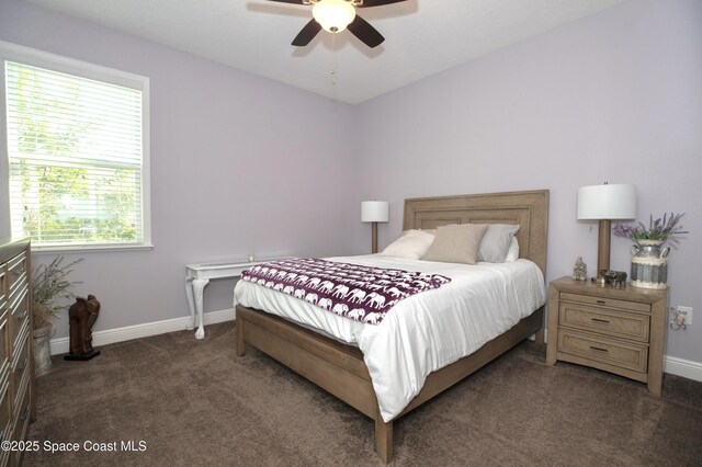 4407 Preservation Cir, Melbourne, FL 32934 - bedroom with carpet flooring, baseboards, and ceiling fan