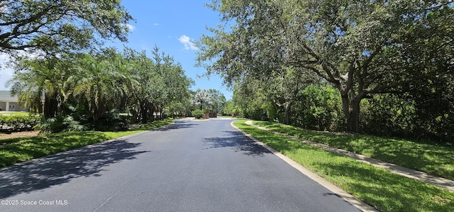 1010 Spring Oak Dr, Melbourne, FL 32901 - view of asphalt road