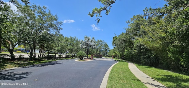 1010 Spring Oak Dr, Melbourne, FL 32901 - view of asphalt road