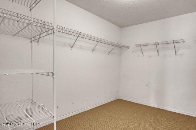 1010 Spring Oak Dr, Melbourne, FL 32901 - photo 26