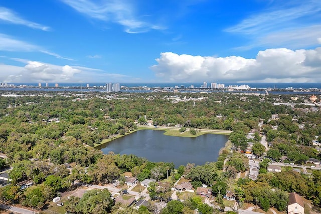 517 Fulton St, Daytona Beach, FL 32114 - view of urban area with a nearby body of water and a tree filled landscape