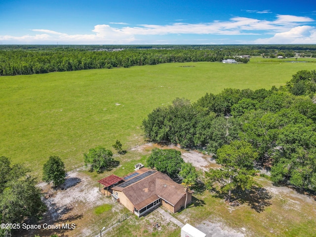 4432 Freedom Rd, Kissimmee, FL 34746 - overview of rural landscape with a heavily wooded area