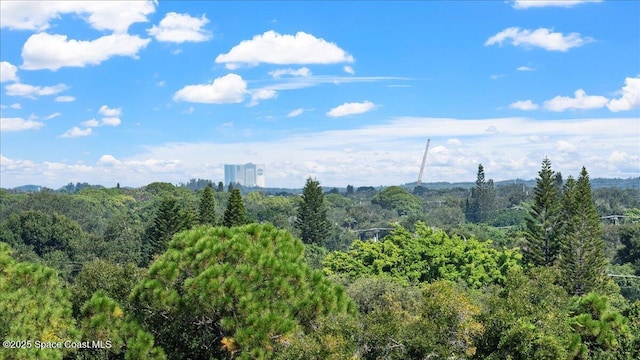 480 Sail Ln Unit 607, Merritt Island, FL 32953 - view of mountain background with a forest