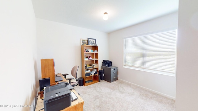 1491 Higbee St SE, Palm Bay, FL 32909 - office with carpet floors and baseboards
