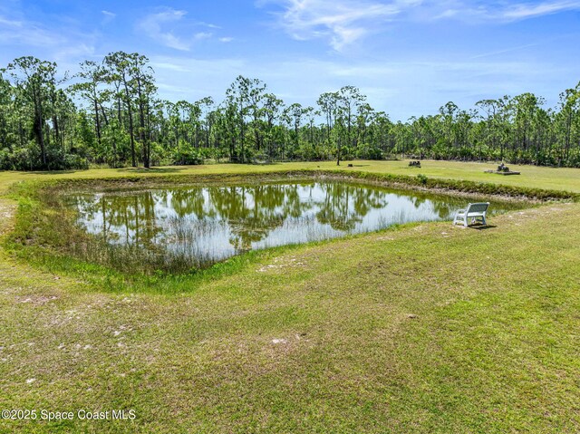 6460 Sapling Ave, Grant, FL 32949 - photo 7