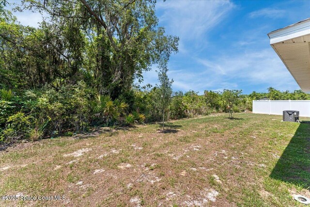 1041 Tupelo Cir, Cocoa, FL 32926 - view of yard