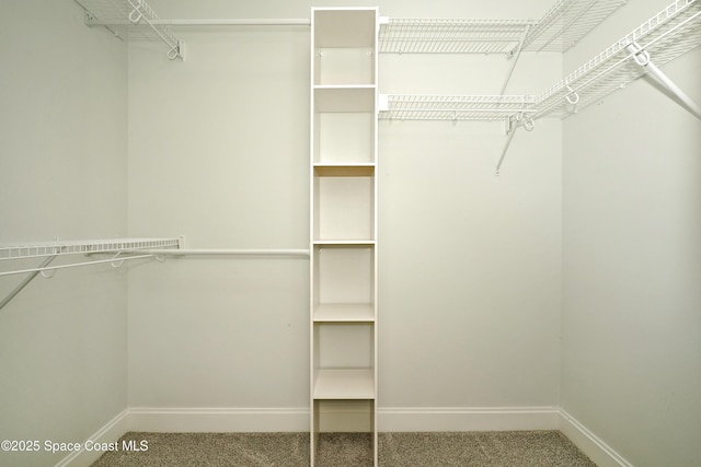 766 Tooley Rd SW, Palm Bay, FL 32908 - walk in closet with carpet flooring