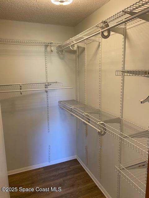 240 Perth Ave, Merritt Island, FL 32953 - walk in closet featuring dark wood finished floors