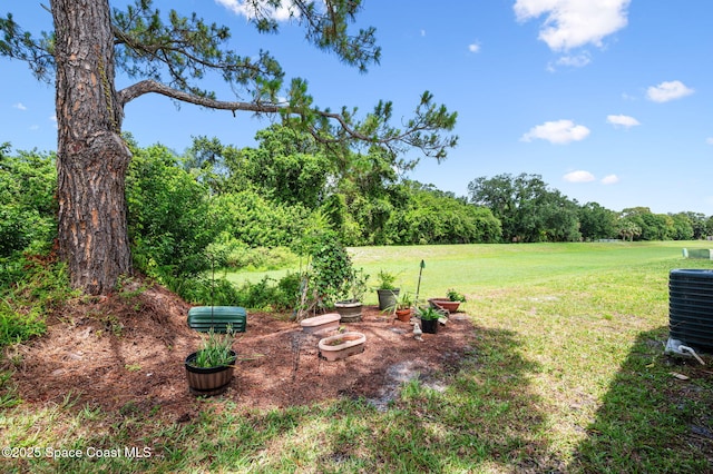 1924 Elderberry Ct NE, Palm Bay, FL 32905 - view of green lawn with cooling unit