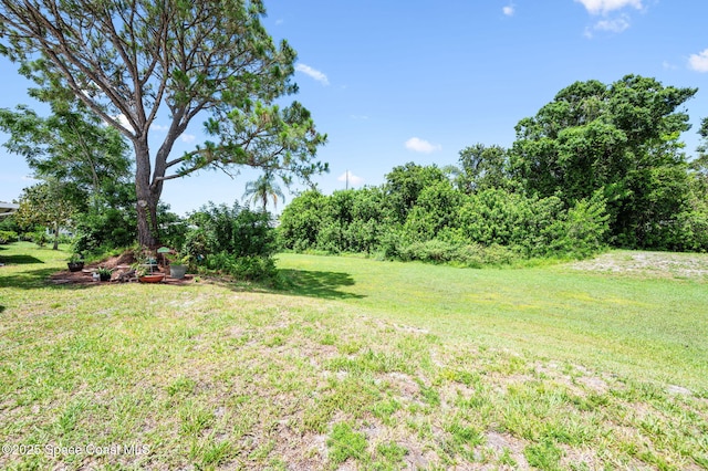 1924 Elderberry Ct NE, Palm Bay, FL 32905 - view of green lawn