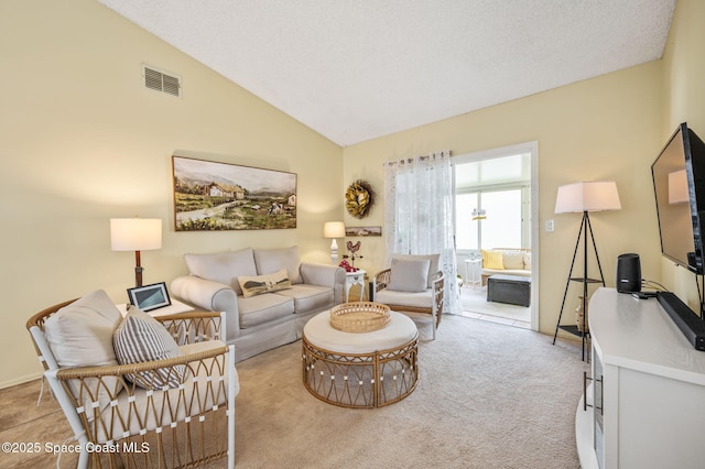 1924 Elderberry Ct NE, Palm Bay, FL 32905 - living area featuring lofted ceiling and carpet