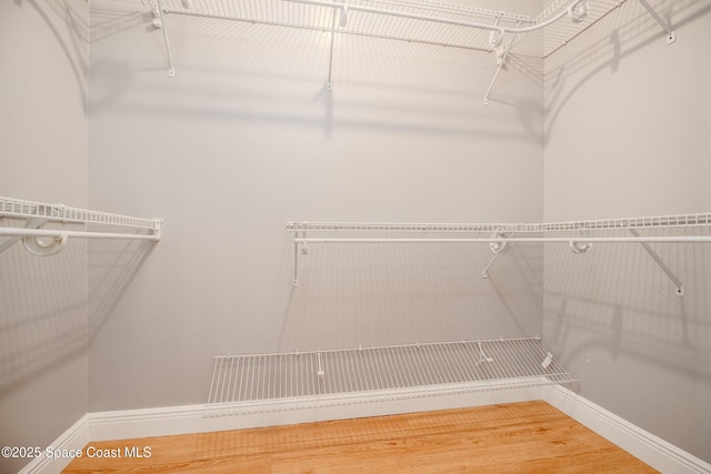 601 Trotter Ln Unit 102, Melbourne, FL 32940 - walk in closet with wood finished floors