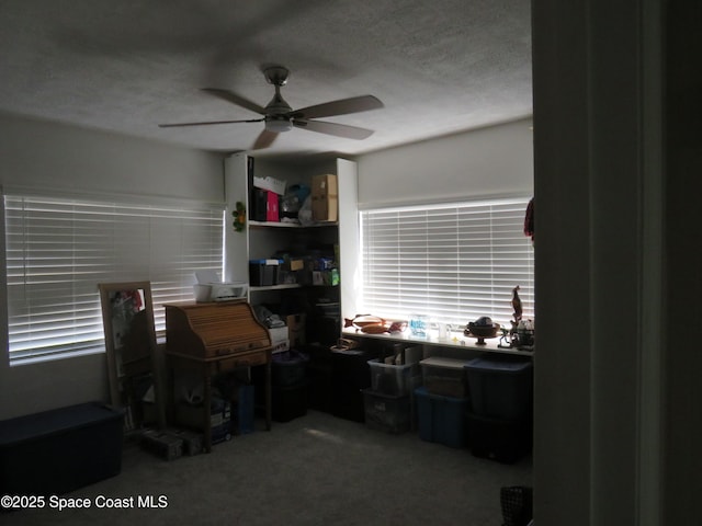 4535 Moon Rd, Titusville, FL 32780 - home office with ceiling fan, a textured ceiling, carpet flooring, and plenty of natural light