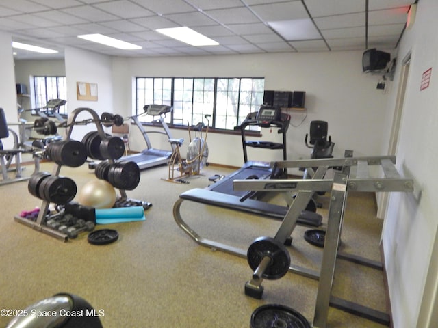 865 Greenwood Manor Cir Unit 5-F, West Melbourne, FL 32904 - exercise room with a paneled ceiling and carpet floors