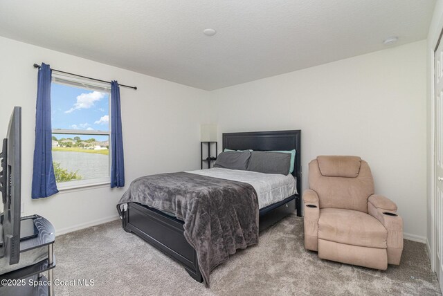 1043 Corbin Cir SW, Palm Bay, FL 32908 - photo 21