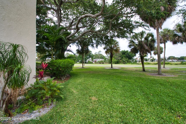 2550 Eagle Dr Unit 3-C, Melbourne, FL 32935 - view of green lawn