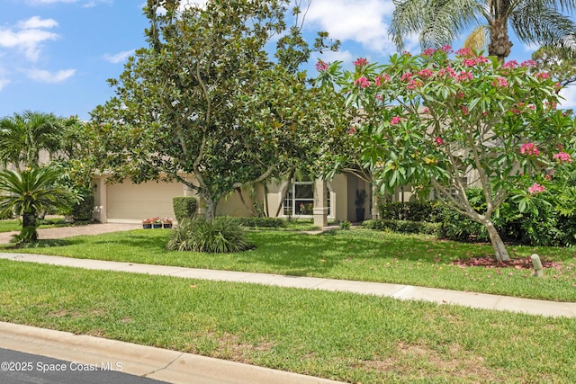 448 Birchington Ln, Melbourne, FL 32940 - obstructed view of property with concrete driveway, a front yard, stucco siding, and an attached garage