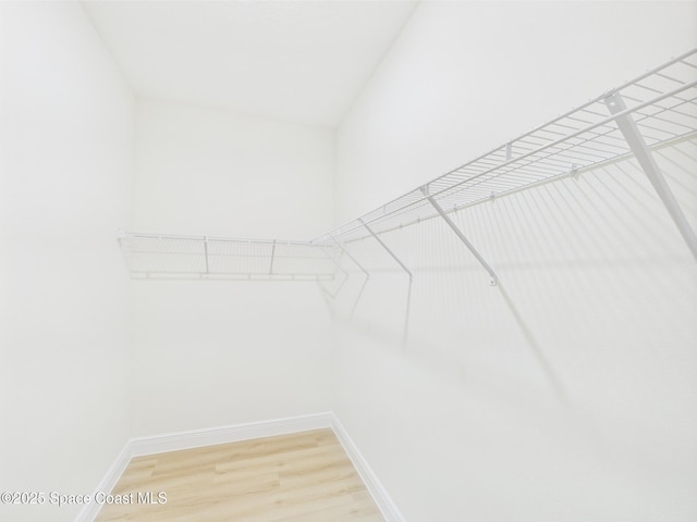 8116 97th Ct, Vero Beach, FL 32967 - spacious closet featuring light wood-style floors