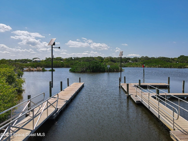 dock with a water view