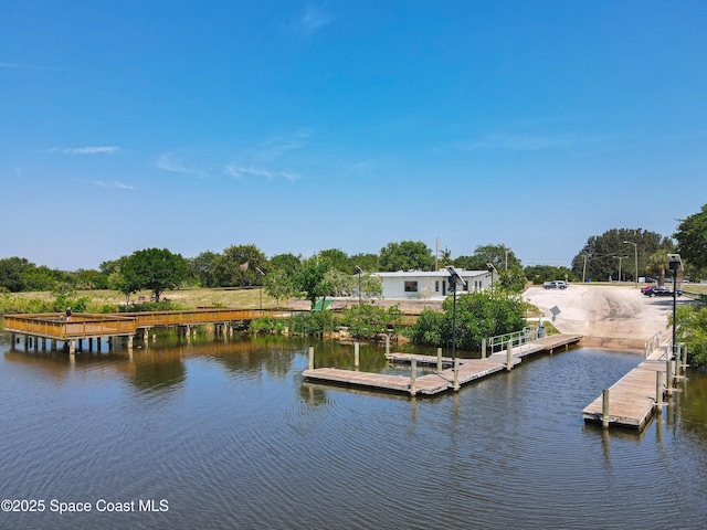 dock area with a water view
