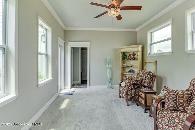 5250 Riveredge Dr, Titusville, FL 32780 - living area with carpet floors, ceiling fan, crown molding, and baseboards