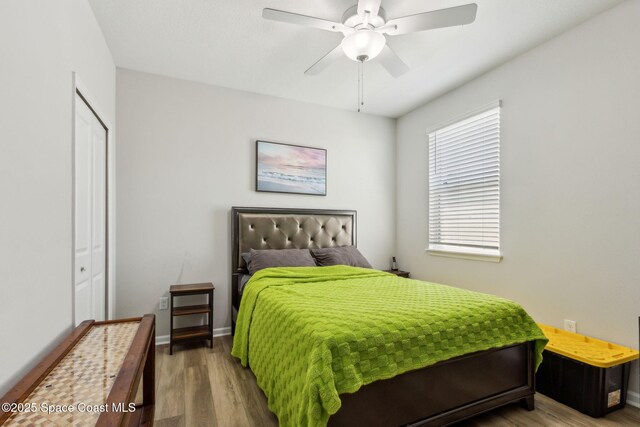 483 Blue Daze St, Yulee, FL 32097 - photo 31