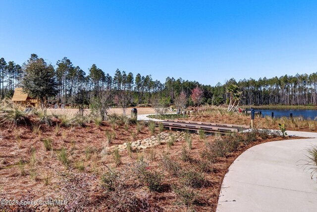 483 Blue Daze St, Yulee, FL 32097 - photo 56
