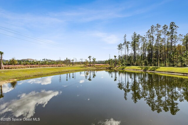 483 Blue Daze St, Yulee, FL 32097 - photo 64