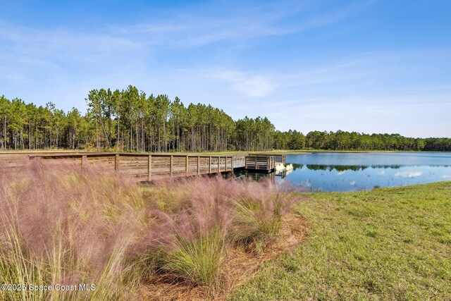 483 Blue Daze St, Yulee, FL 32097 - photo 73