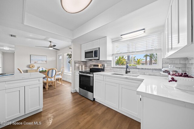 kitchen featuring appliances with stainless steel finishes, a sink, white cabinets, tasteful backsplash, and dark wood-style flooring