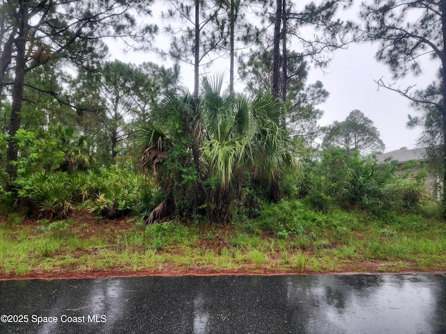 2743 Freehold Ave SE, Palm Bay, FL 32909