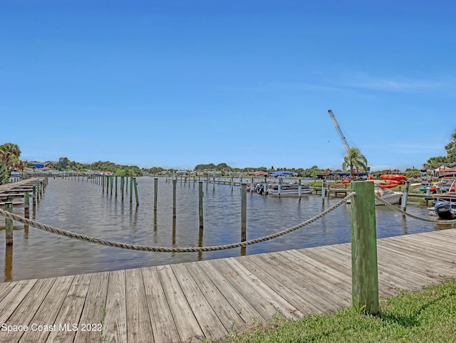 dock with a water view