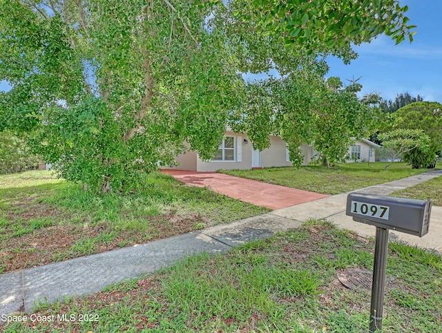 view of front facade with a front yard, driveway, and stucco siding