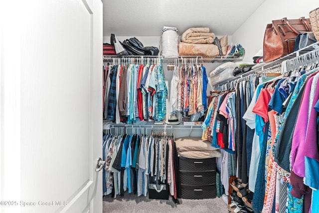 916 Corbin Cir SW, Palm Bay, FL 32908 - spacious closet featuring carpet floors